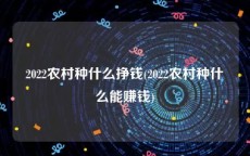 2022农村种什么挣钱(2022农村种什么能赚钱)