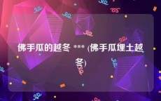 佛手瓜的越冬 *** (佛手瓜埋土越冬)