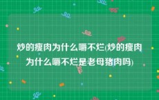 炒的瘦肉为什么嚼不烂(炒的瘦肉为什么嚼不烂是老母猪肉吗)