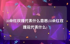 33朵红玫瑰代表什么意思(33朵红玫瑰花代表什么)