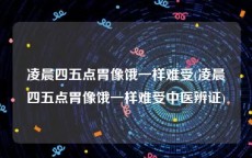 凌晨四五点胃像饿一样难受(凌晨四五点胃像饿一样难受中医辨证)