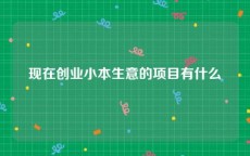 现在创业小本生意的项目有什么