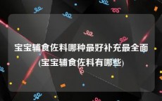 宝宝辅食佐料哪种最好补充最全面(宝宝辅食佐料有哪些)