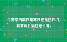 牛蒡茶的属性是寒性还是热性(牛蒡茶属性温还是性寒)