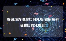餐厨废弃油脂如何处理(餐厨废弃油脂如何处理好)