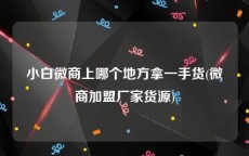 小白微商上哪个地方拿一手货(微商加盟厂家货源)