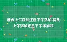 辅食上午添加还是下午添加(辅食上午添加还是下午添加好)