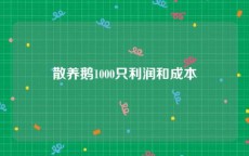 散养鹅1000只利润和成本