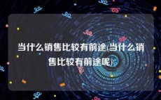 当什么销售比较有前途(当什么销售比较有前途呢)