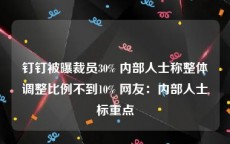 钉钉被曝裁员30% 内部人士称整体调整比例不到10% 网友：内部人士标重点