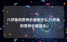 八爪鱼的营养价值是什么(八爪鱼的营养价值禁忌)
