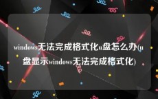 windows无法完成格式化u盘怎么办(u盘显示windows无法完成格式化)