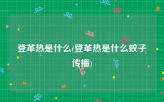 登革热是什么(登革热是什么蚊子传播)