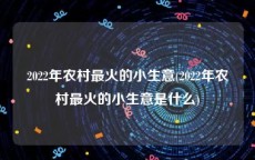 2022年农村最火的小生意(2022年农村最火的小生意是什么)