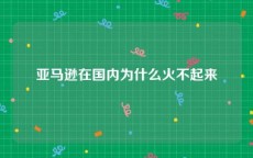 亚马逊在国内为什么火不起来