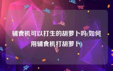 辅食机可以打生的胡萝卜吗(如何用辅食机打胡萝卜)