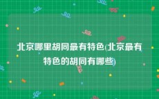 北京哪里胡同最有特色(北京最有特色的胡同有哪些)