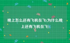 晚上怎么还有飞机在飞(为什么晚上还有飞机在飞)