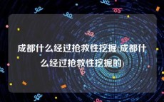 成都什么经过抢救性挖掘(成都什么经过抢救性挖掘的)