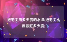 泡毛尖用多少度的水温(泡毛尖水温最好多少度)
