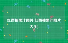 红西柚果汁图片(红西柚果汁图片大全)