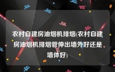 农村自建房油烟机排烟(农村自建房油烟机排烟管伸出墙外好还是墙体好)