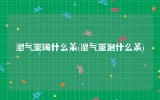 湿气重喝什么茶(湿气重泡什么茶)