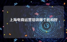 上海电商运营培训哪个机构好