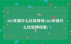 2022年做什么比较挣钱(2022年做什么比较挣钱呢)