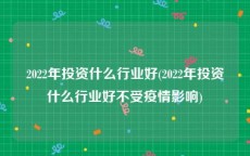 2022年投资什么行业好(2022年投资什么行业好不受疫情影响)