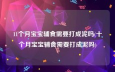 11个月宝宝辅食需要打成泥吗(十个月宝宝辅食需要打成泥吗)