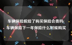 车辆保险脱险了购买保险会贵吗(车辆保险下一年保险什么时候购买)
