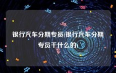 银行汽车分期专员(银行汽车分期专员干什么的)