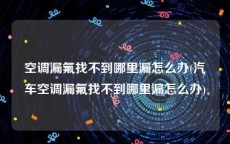 空调漏氟找不到哪里漏怎么办(汽车空调漏氟找不到哪里漏怎么办)