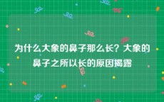 为什么大象的鼻子那么长？大象的鼻子之所以长的原因揭露