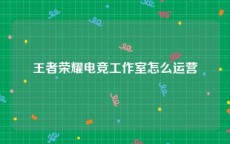 王者荣耀电竞工作室怎么运营
