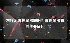 为什么香蕉是弯曲的？香蕉是弯曲的主要原因