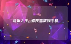 咸鱼之王gg修改器教程手机