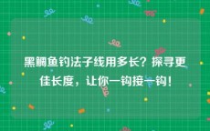 黑鲷鱼钓法子线用多长？探寻更佳长度，让你一钩接一钩！