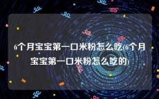 6个月宝宝第一口米粉怎么吃(6个月宝宝第一口米粉怎么吃的)