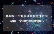 怀孕前三个月最佳食物是什么(怀孕前三个月吃哪些食物好)