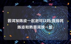 普洱加陈皮一起泡可以吗(直接将陈皮和熟普洱放一起)