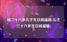 给二十八岁儿子生日祝福语(儿子三十六岁生日祝福语)