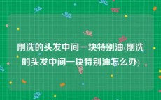 刚洗的头发中间一块特别油(刚洗的头发中间一块特别油怎么办)