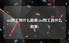 dnf特工用什么勋章(dnf特工选什么勋章)