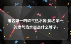 排名第一的燃气热水器(排名第一的燃气热水器是什么牌子)