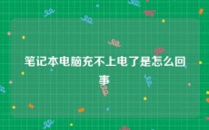笔记本电脑充不上电了是怎么回事