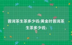普洱茶生茶多少钱(黄金叶普洱茶生茶多少钱)