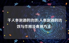 干人参泡酒的功效(人参泡酒的功效与作用及食用方法)