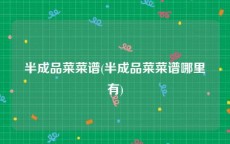 半成品菜菜谱(半成品菜菜谱哪里有)